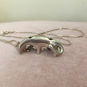 Sterling silver necklace and charm